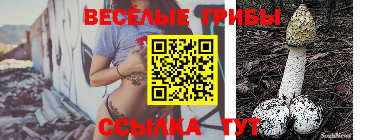 Вышний Волочёк  Галлюциногенные грибы Psilocybine cubensis  Вход с VPN  Галлюциногенные грибы мицелий 