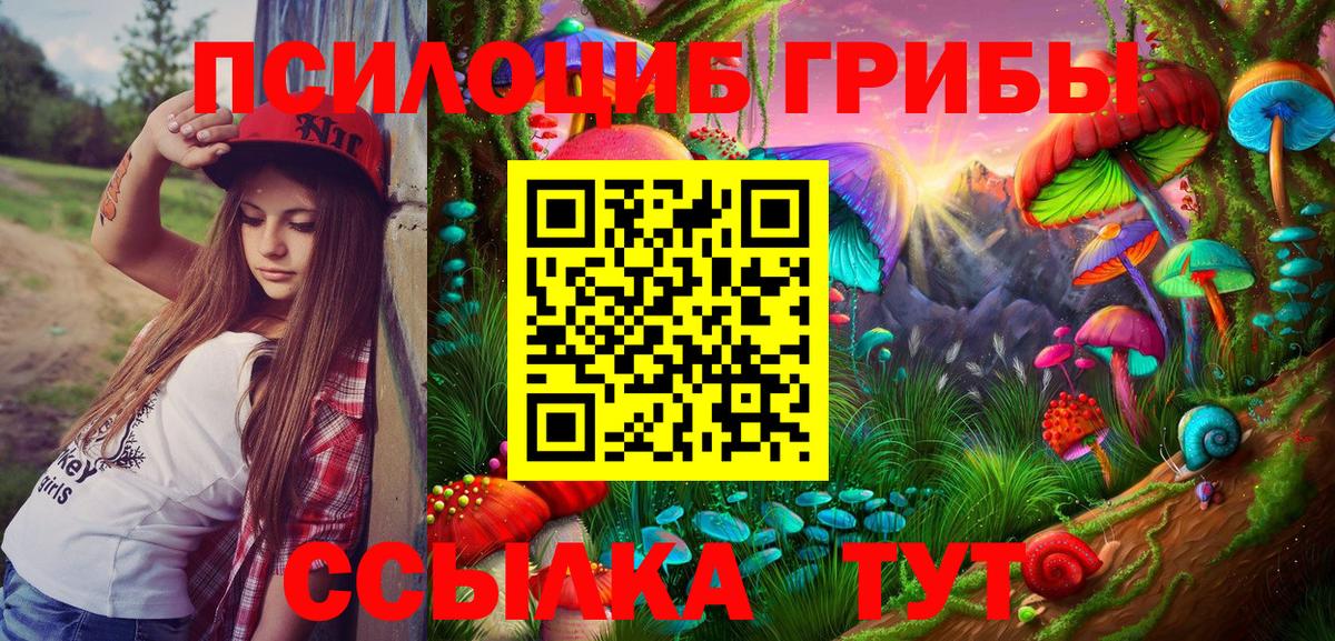 Псилоцибиновые грибы Psilocybe Вышний Волочёк